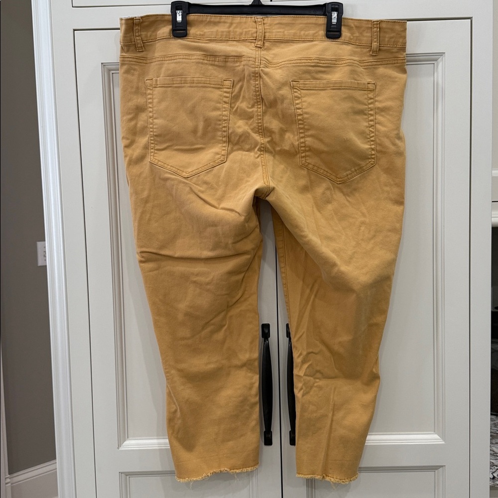 SKYE’s the Limit Brand Gold Color Capris Raw Edge Hem Women’s Size 20W.